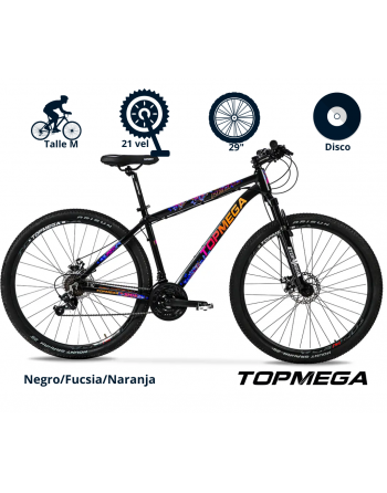 Bici TopMega Regal. R29....